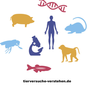 Umrisse eines Menschen, Maus, Affen, Fischs, Schwein, Mücke, Mikroskop und DNA-Strangs auf weißen Hintergrund mit der Unterschrift tierversuche-verstehen.de